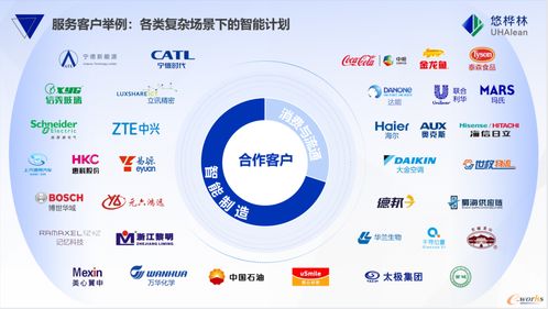 悠樺林位列國(guó)內(nèi)供應(yīng)商第一，《2025中國(guó)智能供應(yīng)鏈計(jì)劃與排程市場(chǎng)份額報(bào)告》正式發(fā)布——中豹供應(yīng)鏈洞察行業(yè)新趨勢(shì)
